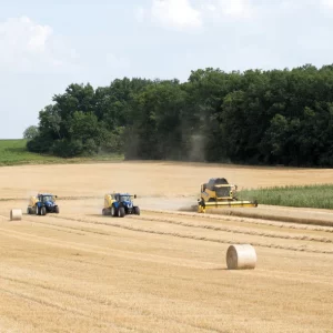 roll-belt-baler-gallery-14